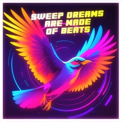 Sweep Dreams Are Made Of Beats