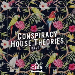 Conspiracy House Theories, Issue 25