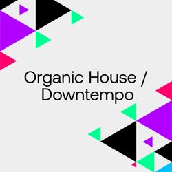 Staff Picks 2022: Organic House / Downtempo