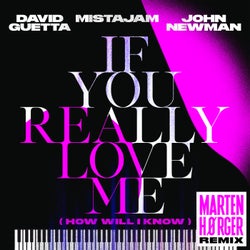 If You Really Love Me (How Will I Know) [Marten Hørger Remix Extended]