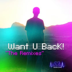 Want U Back! (The Remixes)
