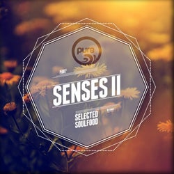 Pure Senses - Selected Soulfood, Vol. 2