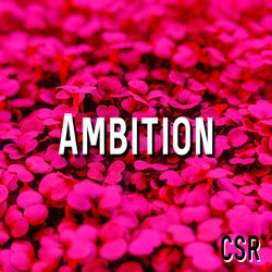 Ambition