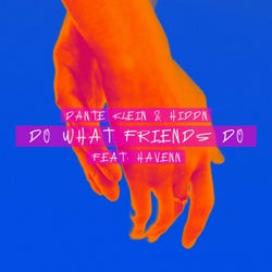 Do What Friends Do (feat. HAVENN) (Extended Mix)