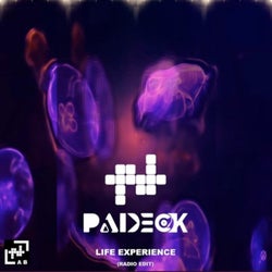 Life Experience (Radio Edit)
