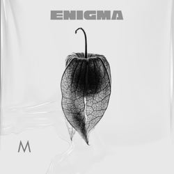 Enigma