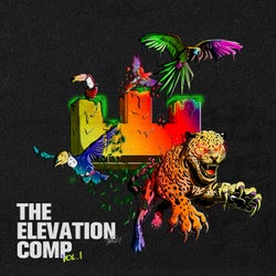 The Elevation Comp, Vol. 1