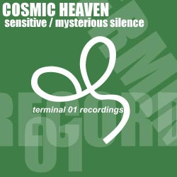Sensitive / Mysterious Silence