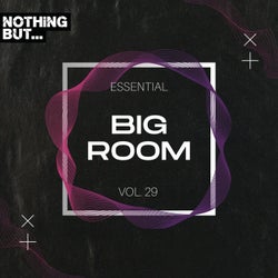 Nothing But... Essential Big Room, Vol. 29