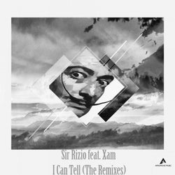 I Can Tell (The Remixes)