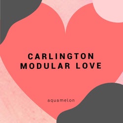 Modular Love