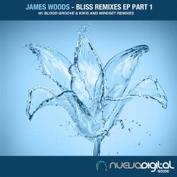 Bliss Remixes Part 1
