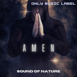 Amen (feat. Albert Van Deyk)