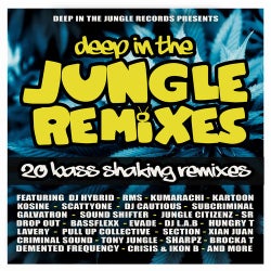 Cover art for Deep In The Jungle Remixes