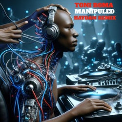 Manipuled (Haydan Remix)