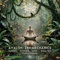 Naked, Stoned and Exalted (Starlab Remix)