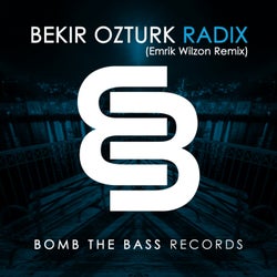 Radix (Emrik Wilzon Remix)
