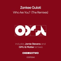 Who Are You (The Remixes)