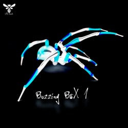 Buzzing Box 1