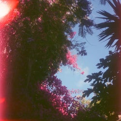 Light Leaks