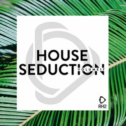 House Seduction, Vol. 17
