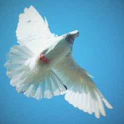 In my Spirit (Back to Church)