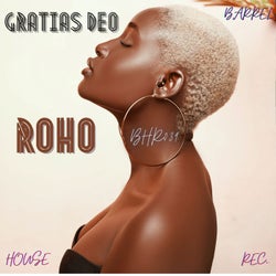 Roho (Original Mix)