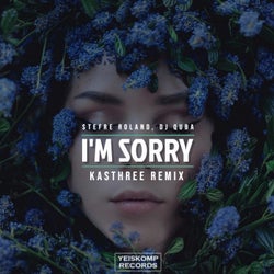 I'm Sorry (Kasthree Remix)