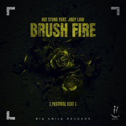 Brush Fire (Festival Remix Edit)