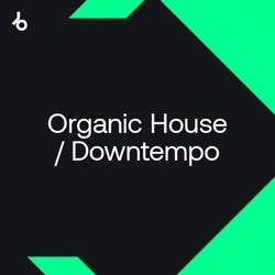 Staff Picks 2021: Organic House / Downtempo