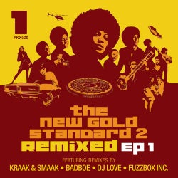 The New Gold Standard 2 Remixed EP 1