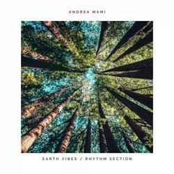 Earth Vibes / Rhythm Section