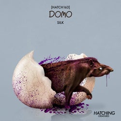 Silk