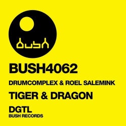 Roel Salemink // Tiger & Dragon Chart