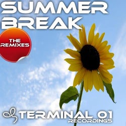 Summerbreak The Remixes