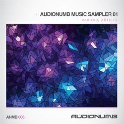Audionumb Music Sampler Vol.1