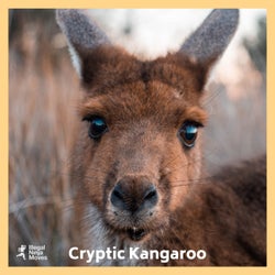 Cryptic Kangaroo