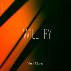 I Will Try