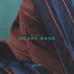 Heavy Bass