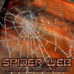 Spider Web (House Compilation)