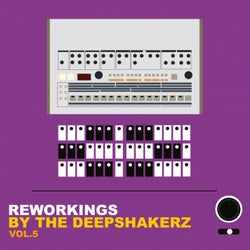 Reworkings By The Deepshakerz, Vol.5