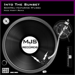Into The Sunset (Nico Hartt Remix)