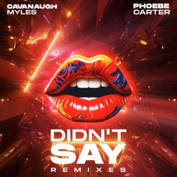 Didn't Say (Remixes)