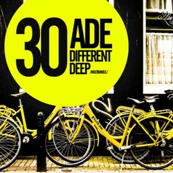 30 ADE Different Deep Multibundle