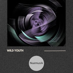 Wild Youth
