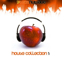 Various Artists House Collection 1