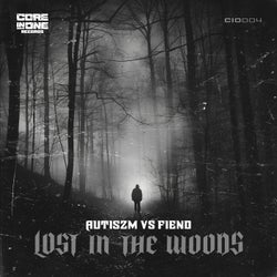 Lost In The Woods