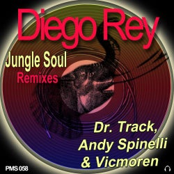 Jungle Soul (Remixes)