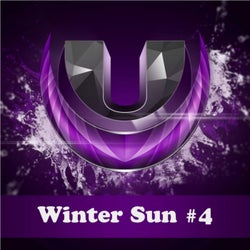 Winter Sun #4