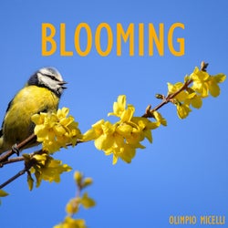 Blooming